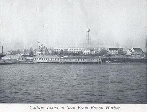 Gallops Island as Seen From Boston Harbor