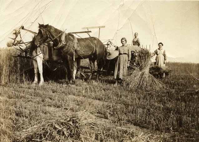 Photo of a horse-drawn threshing machine operated by Ellen, Emma, and George Henry